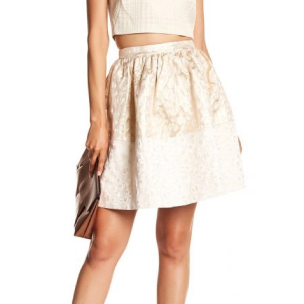 Erin Fetherston Metallic Kennedy skirt